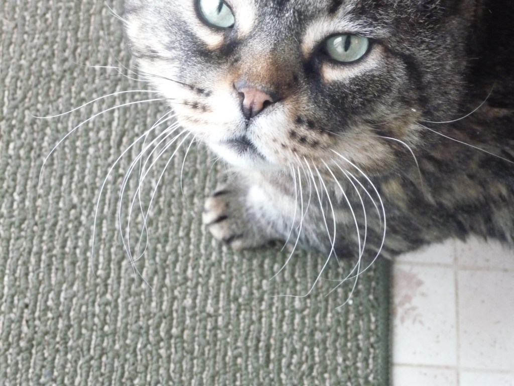 When Life Feels Icky